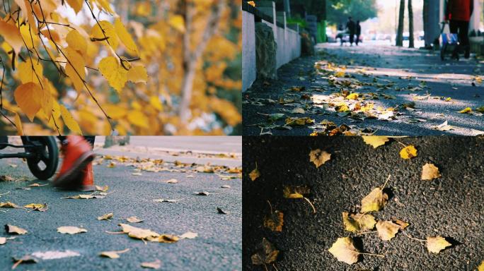 秋天 秋 落叶 脚步匆匆路人 秋风扫落叶