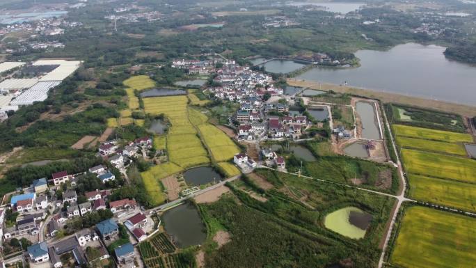 董家村  风景 乡村