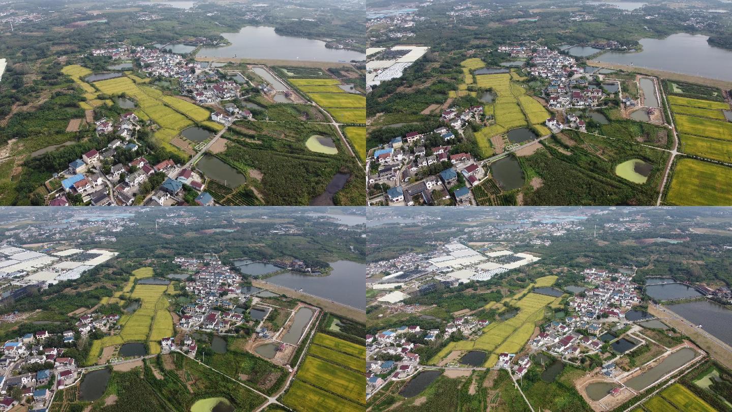 董家村  风景 乡村