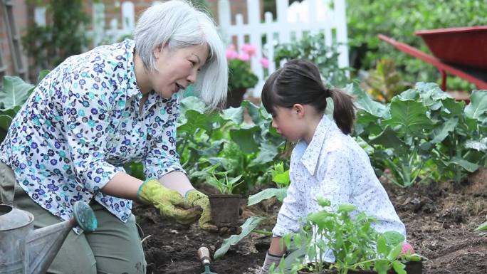 祖母教孙女在菜园里种黄瓜