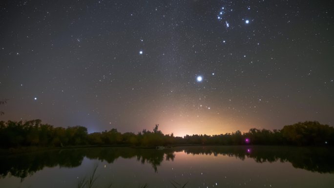 金秋胡杨黄叶星空猎户座升起