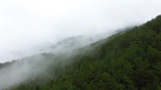 云海开江大凉山原始森林云雾