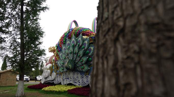 COP15 昆明 城市 景观 生物多样性