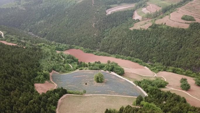 深山 峡谷 树林 04