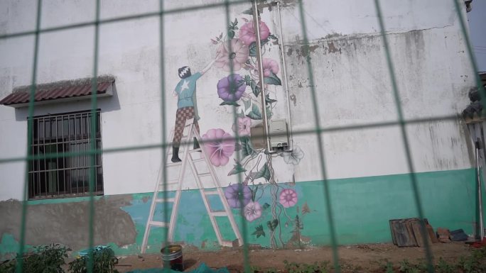 董家村  风景 乡村