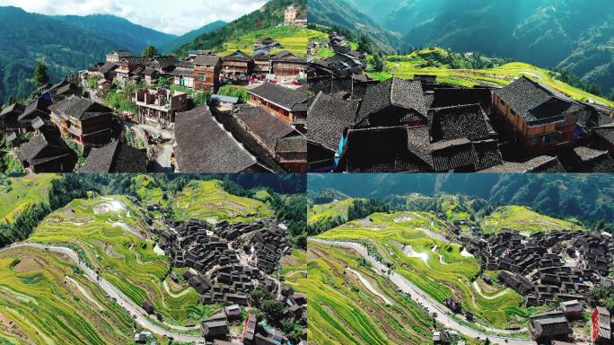 4K 加榜梯田大山里的稻田