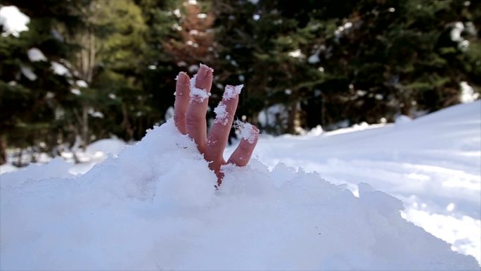 雪崩救援事故和灾难暴雪