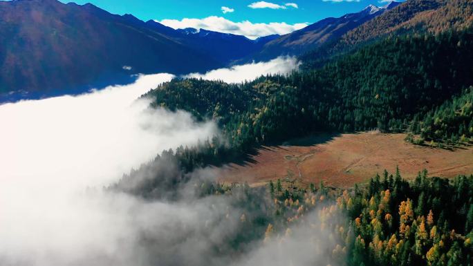 漂亮的川西高原云雾航拍4k素材