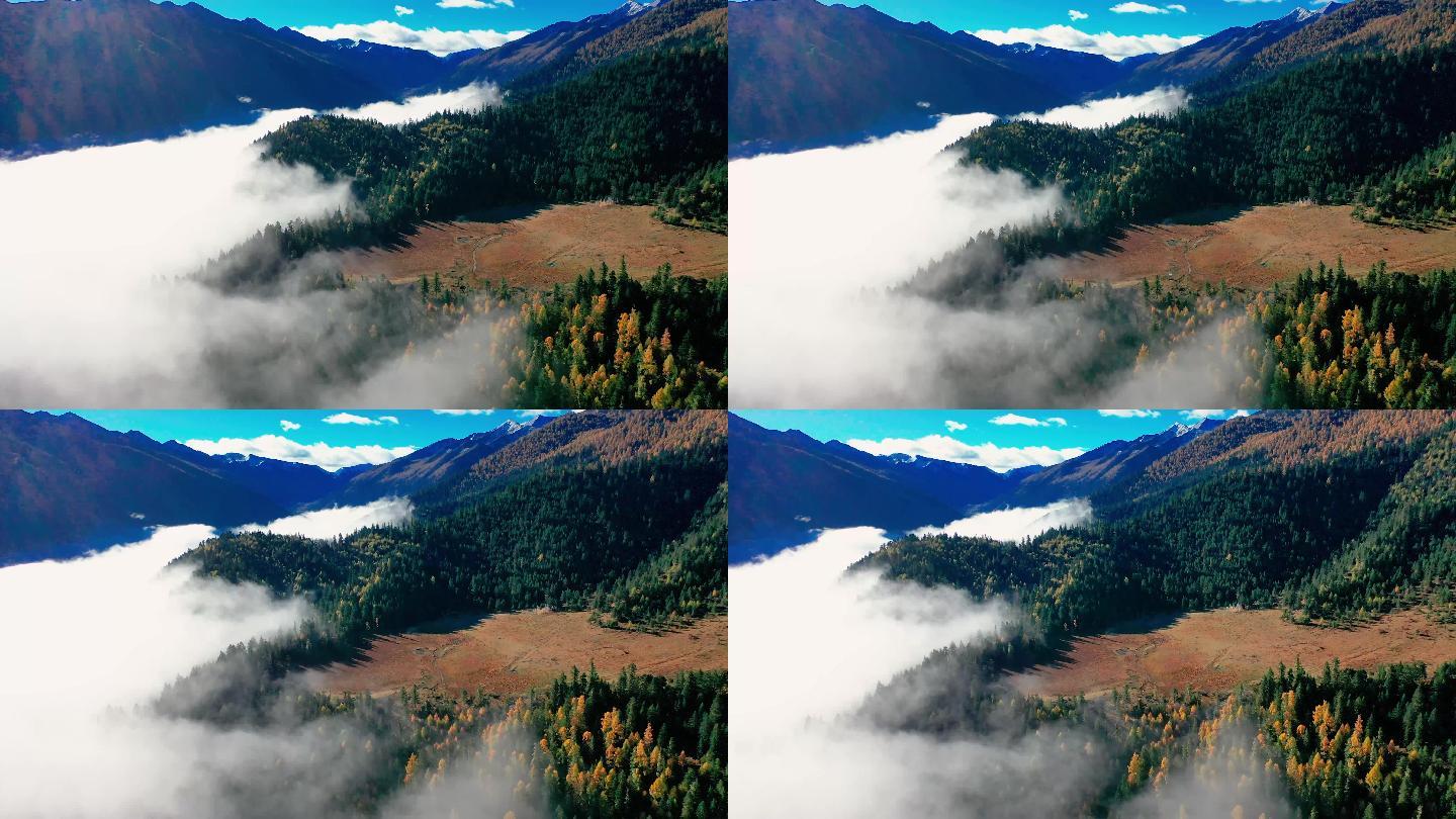 漂亮的川西高原云雾航拍4k素材