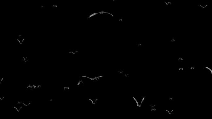 【带通道】万圣节一群蝙蝠迎面飞来