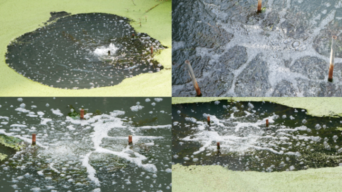 污水处理_水质净化_生态治理