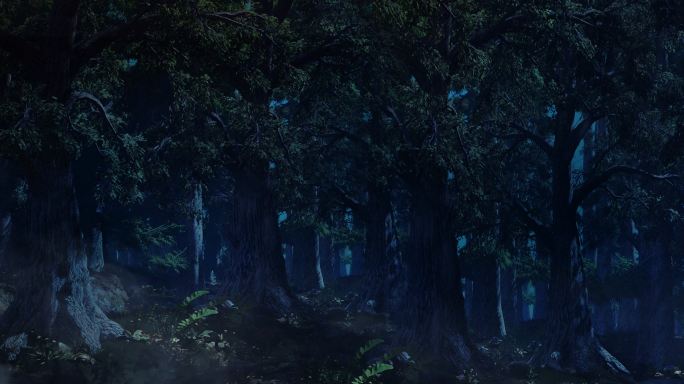 4K超清大屏素材森林 大树夜景 阴暗夜景