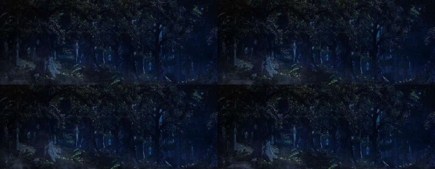 4K超清大屏素材森林 大树夜景 阴暗夜景