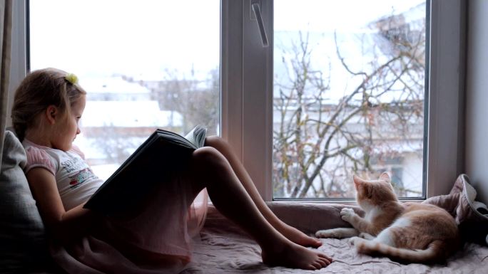 孩子在窗边看书，旁边坐着一只猫