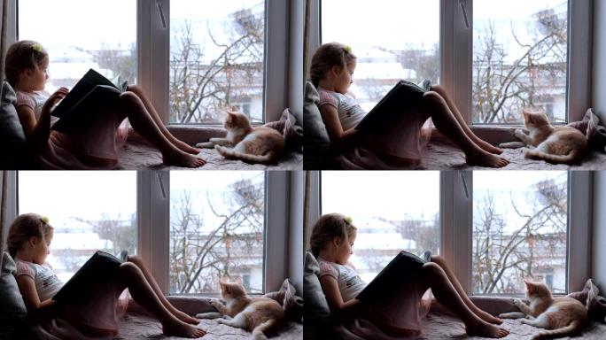孩子在窗边看书，旁边坐着一只猫