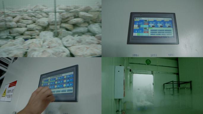 【原创】冻库冷链4K原创