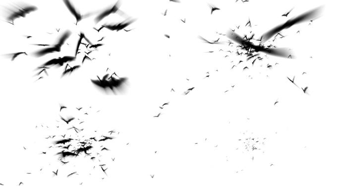 三维动画-飞行蝙蝠