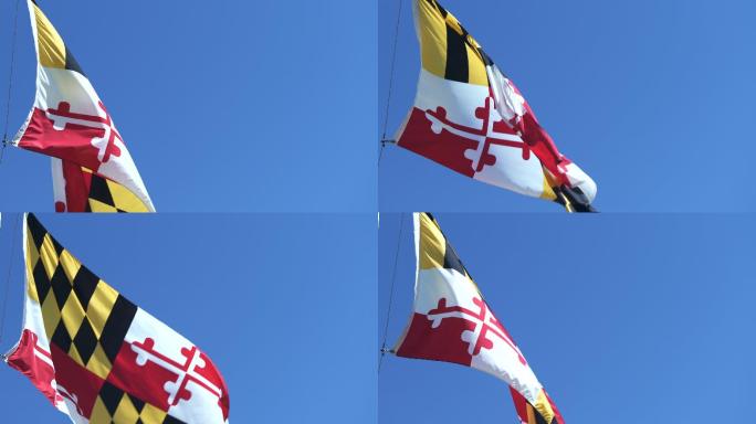 马里兰州国旗在微风中飘扬