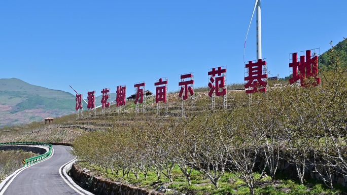 汉源花椒万亩示范基地