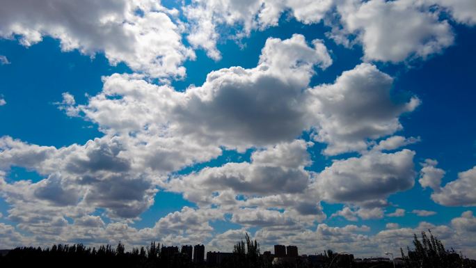 4k延时拍摄蓝天白云下的城市街道楼房树木