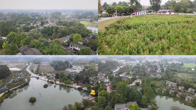 4k航拍CCTV中国十大最美乡村青杠树3