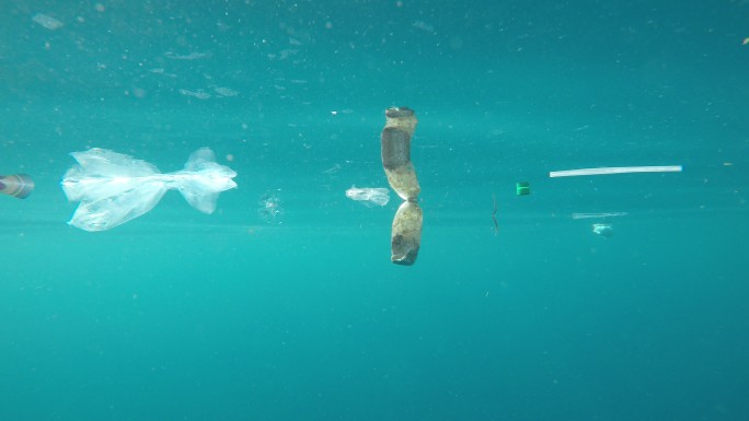 海洋中的塑料污染实拍