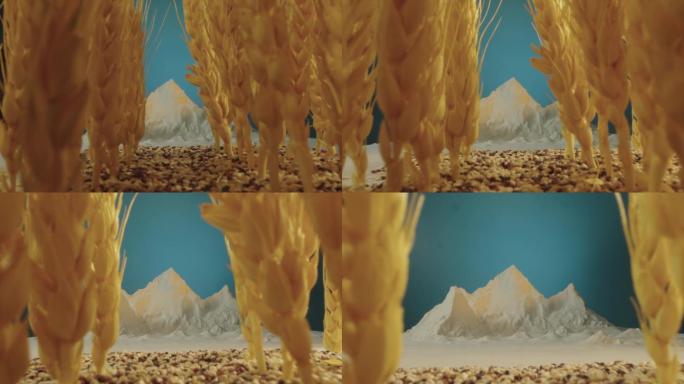 小麦-面粉-麦子-白面