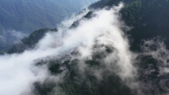 山区大山脉深林云雾缭绕高山顶清晨山村云海