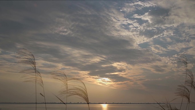 黄昏云层  苇絮