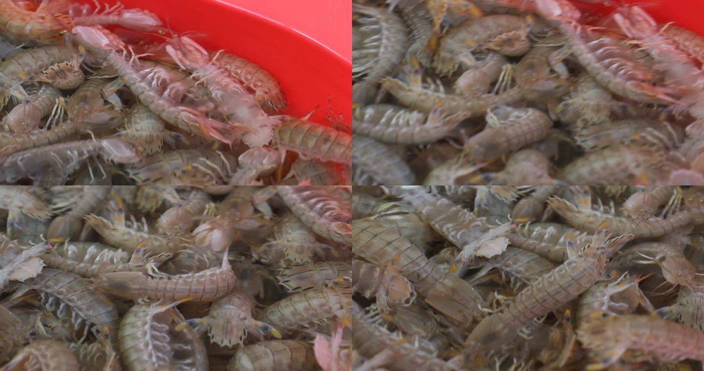 皮皮虾海鲜市场11