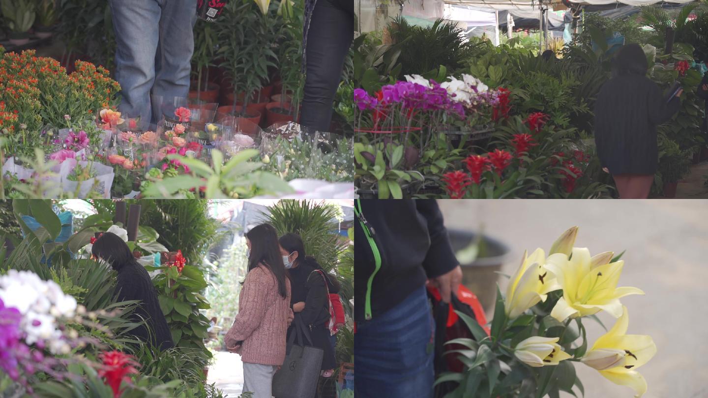 年货 花卉市场-鲜花市场