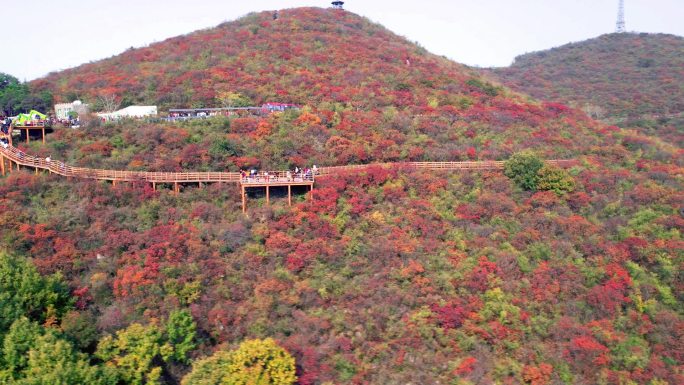 航拍太行山秋天的红叶