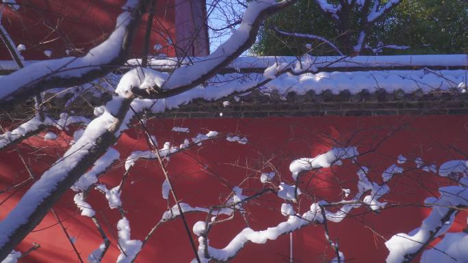 山林古建筑雪景空镜头4K调色素材