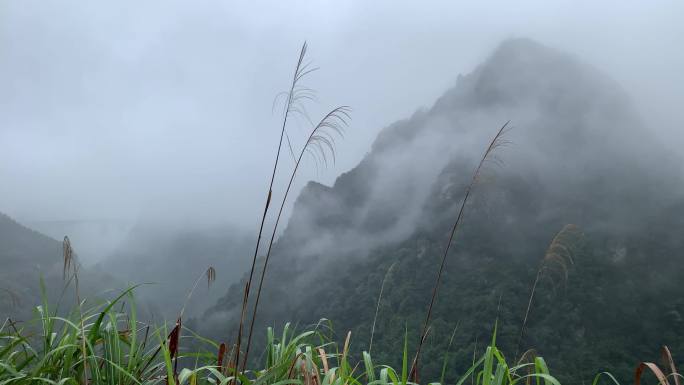 乡村美景