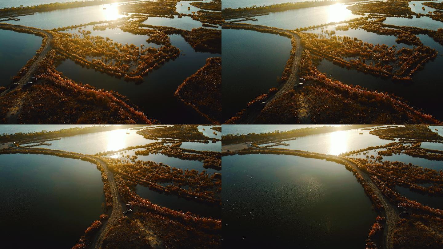 秋天湿地湖泊-芦苇荡水面航拍