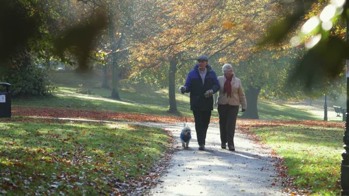 老年夫妇在公园遛狗