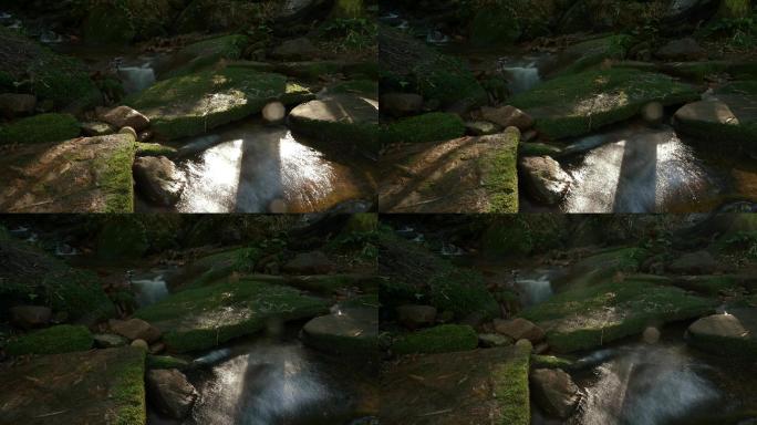 阳光照耀长满青苔的小溪延时摄影