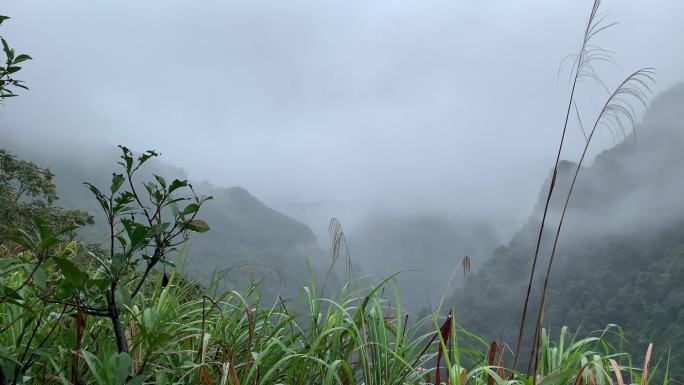 乡村美景