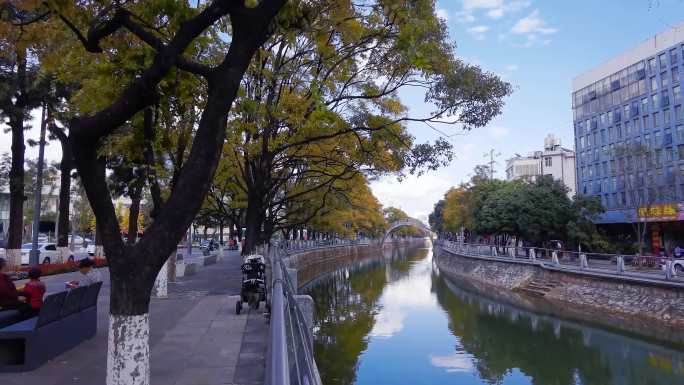 昆明大观河岸的秋天