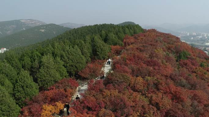 4K-原素材-济南蝎子山航拍