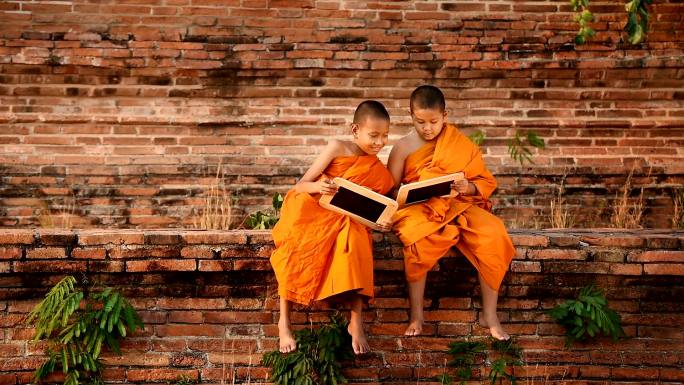 两个佛教小男孩穿黄色袍子的小男孩讨论