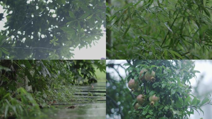 【新】小雨\多组升格慢镜头