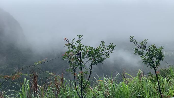 株洲四峰山