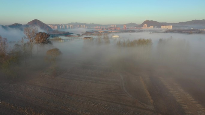 晨曦中城市暖暖阳光