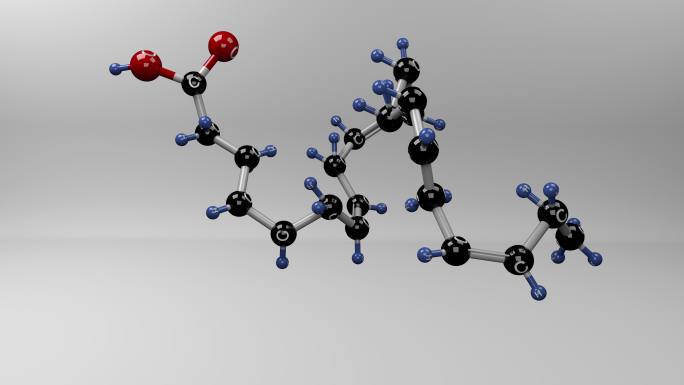 二十二碳六烯酸分子。