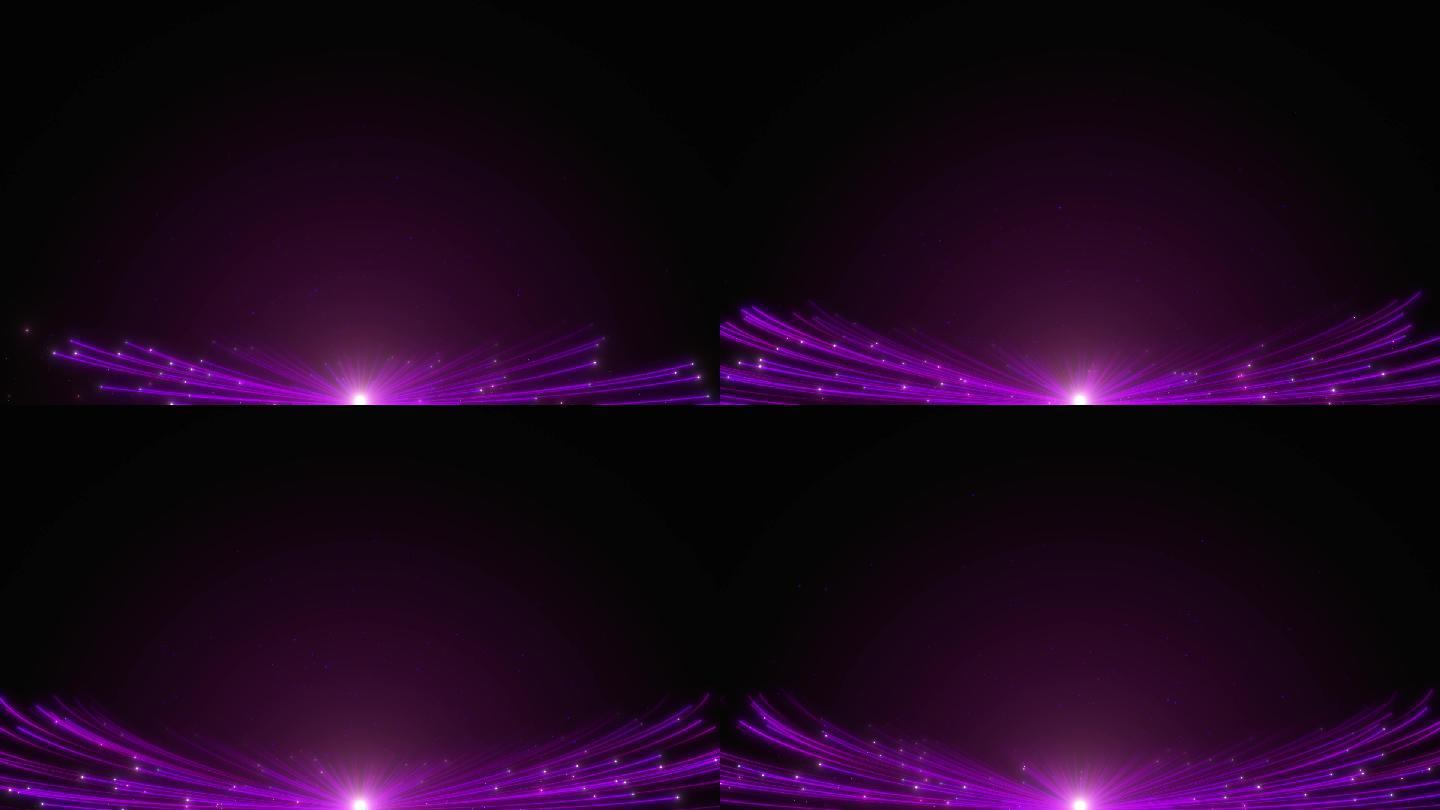 紫色线条生长-1