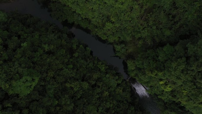 生态 水域 湿地 保护区 大自然