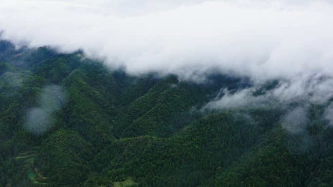 【正版素材】广西桂林深山秘境698