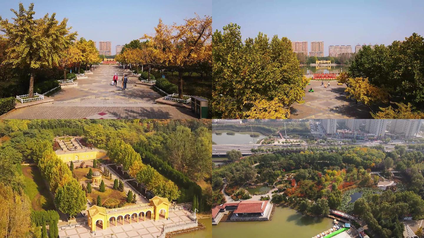 人民公园秋季美景  黄金叶树木五颜六色
