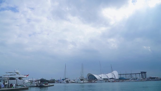 青岛游艇码头游艇中穿梭海鸥飞翔